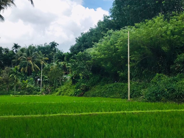 Olanda Watta – Kegalle